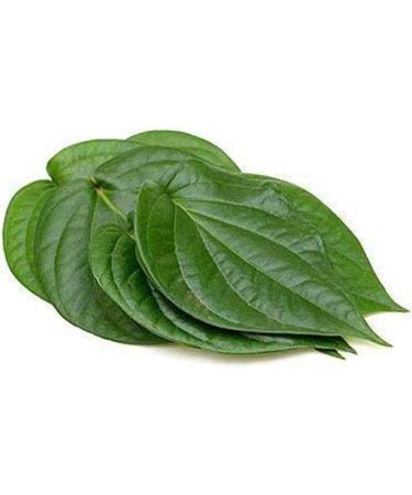 Seelans Fresh Betel Leaves | Beetle Leaves 10pcs | Pan Leaves | Leaf Betel | Fresh Leaf | Used for Pooja & Edible | Indian Origin | Approx 50G Next Day Shipping - Buy Online on GoSupps.com