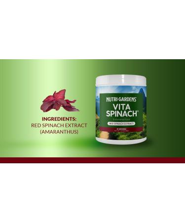 Vita Spinach Powder - Natural Nitric Oxide Booster for Energy Endurance & Blood Flow - Red Spinach Extract Superfood Supplement (30 Servings - Buy Online on GoSupps.com