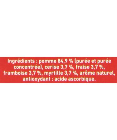 Materne Specialty of 5 Fruits without Added Sugars The 4 90g Gourdes - Buy Online on GoSupps.com