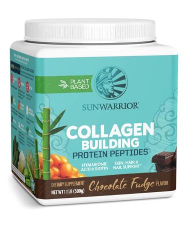 2250 N Coral Canyon Plantbased Warrior Protein Warrior Collagen Chocolate Fudge 500g