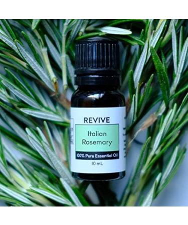 Italian Rosemary Essential Oil by Revive Essential Oils - 100% Pure Therapeutic Grade for Diffuser Humidifier Massage Aromatherapy Skin & Hair Care - Buy Online on GoSupps.com