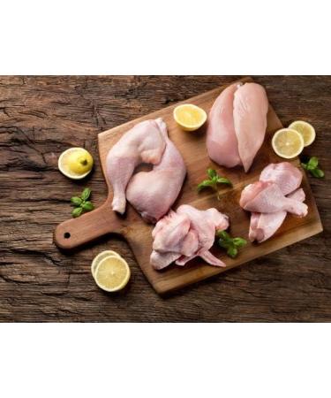 Crystalina Daily Premium Adult Dog Food with Turkey and Chicken | Canned Dog Food | High Meat Content up to 87% | Wheat Free | 6 Pack (6 x 850 g) - Buy Online on GoSupps.com