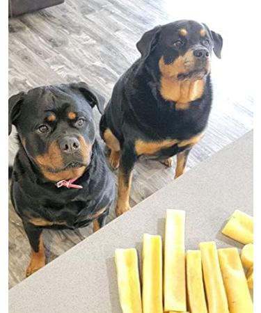 Himalayan Yak Cheese Dog Chew - Himalayan Dog Chew - *(Small Bulk 22-26 Count Approx.)* - (Small-M-L-XL-Jumbo) - Cheese Bones for Dogs - Natural - Long Lasting Dog Treats for Aggressive Chewers SMALL BULK ( 26 YAK CHEWS APPROX.) - Buy Online on GoSupps.com