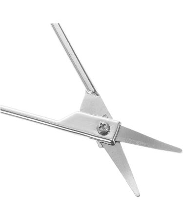  Beavorty Beavorty 6 Pieces Eyebrow Scissors Eyebrow Trimmer Vibrissa Scissors Eyebrow Scissors Cosmetic - Buy Online on GoSupps.com