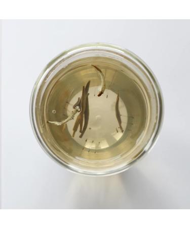 Teapro Supreme Silver Needle White Tea - Bai Hao Yin Zhen Loose Leaf Tea (12g) - Buy Online on GoSupps.com