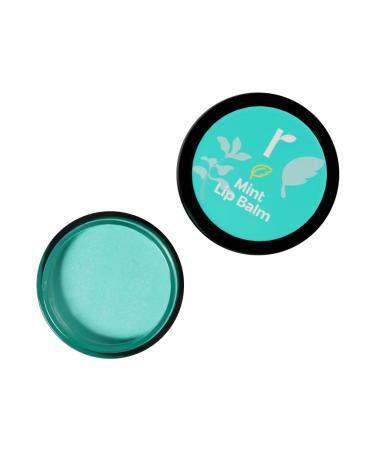Naturals Mint Lip Balm Cucumber + Kokum Butter Refreshing and Hydrating For Men & Women 8 gm Vegan No Chemicals. - Buy Online on GoSupps.com