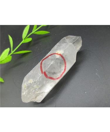 Rare! Natural Clear Quartz Channel with Water Bladder Reiki Fengshui Crystal Minerals Stones - Buy Online on GoSupps.com