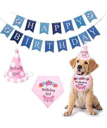 Suoxu Dog Birthday Party Hat & Gift Set - Cute Cotton Triangle Scarf & Happy Birthday Bandana for Puppies - Buy Online on GoSupps.com