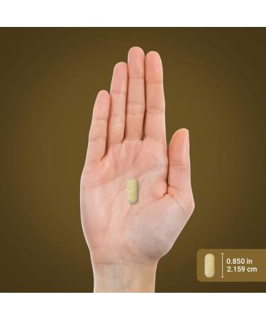 Piping Rock Bee Pollen with Royal Jelly and Propolis | 120 Caplets | Complex Supplement for Women and Men | Non-GMO Gluten Free - Buy Online on GoSupps.com