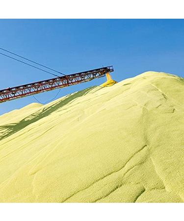 High-Dose MSM Natural Sulfur 250 Capsules | 3400mg Daily | 99.9% Pure - Premium Quality from the USA - Buy Online on GoSupps.com