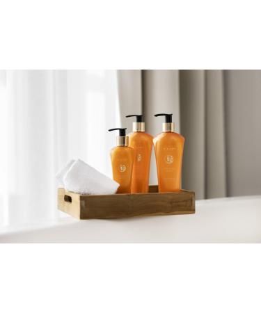 T-LAB PROFESSIONAL Organic Shape Duo Shampoo to Moisturize and Shape Curly Hair Reduce Frizz and Make the Hair Soft and Manageable 10.14 Fl Oz - Buy Online on GoSupps.com