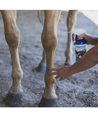 Vetericyn Plus Equine Wound and Skin Care Spray 16 oz - Ideal for Cuts, Saddle Sores, and Rope Burns - Buy Online on GoSupps.com