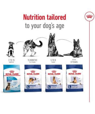 Royal Canin Maxi Dry Adult Dog Food 3kg - Buy Online on GoSupps.com