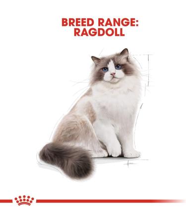 Royal Canin Cat Food Ragdoll 2kg - Buy Online on GoSupps.com