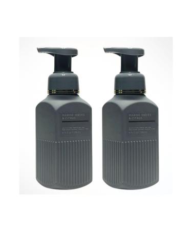 Marine Waves & Citrus Gentle and Clean Foaming Hand Soap (Pack of 2) 8.75 Fl Oz each (Packaging Design Styles May Vary) - Buy Online on GoSupps.com