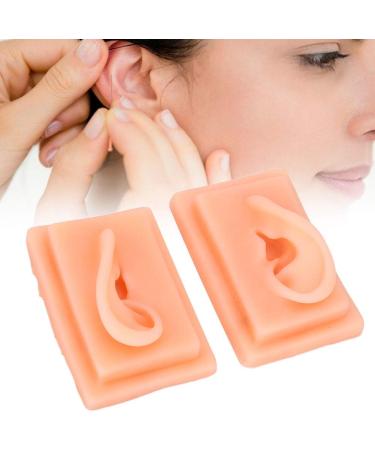 Acupuncture Ear Model for Practice | 2-Piece Set | Smooth Texture | Ideal for Students - Buy Online on GoSupps.com