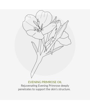 Green People Beauty Boost Skin Restore 50ml | Natural & Organic Night Moisturiser with Wakame Seaweed for Dry Tired Normal Skin | Paraben Free & Ethyl Alcohol Free | Cruelty Free & Vegan - Buy Online on GoSupps.com