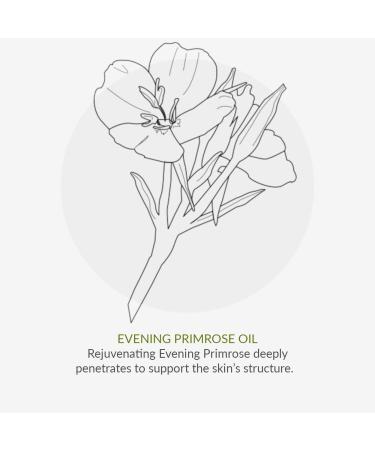 Green People Rejuvenating Cream 10ml | Anti-Aging Eye Cream with Seaweed | Vegan & Paraben-Free | Ideal for Dry Mature Skin | Day & Night Use - Buy Online on GoSupps.com