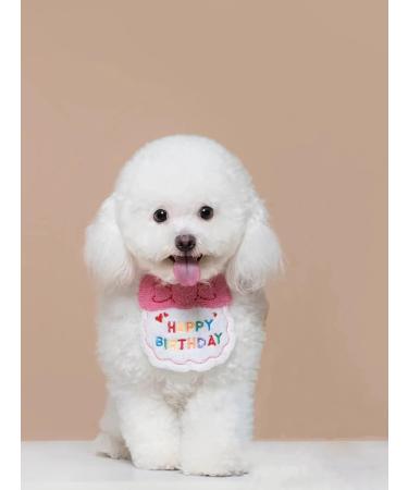 Cat Birthday Outfit Set: Pink Scarf Party Hat & Bibs - Perfect Pet Birthday Decorations - Buy Online on GoSupps.com