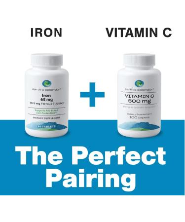 Earth's Splendor Iron 65mg USP 325mg Ferrous Sulfate Tablets - Energy Production Oxygen Transportation Overall Health - 3 Month Supply Iron 65 mg - Buy Online on GoSupps.com
