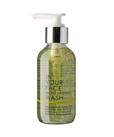 IN YOUR FACE Moisturizing Face Wash Regenerating Facial Cleanser with Seaweed Green Tea Chlorophyll & Antioxidants pH-Balanced Face Cleanser for Dry Skin and Impurities Cruelty-Free (4oz)