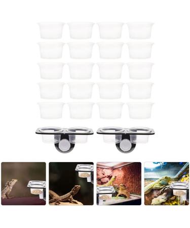 Balacoo Gecko Feeding Cups 1 Set Gecko Feeding Ledge Reptile Tank Supplies Suction Cup Reptile Feeder Reptile Feeding Platform for Reptile Lizard Gecko Home Crested Gecko Food Ledge - Buy Online on GoSupps.com