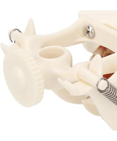 High-Quality 32 Teeth Dentist Typodont Model with Soft Gums | Perfect for Dental Training & Research | Verdant Touch - Buy Online on GoSupps.com