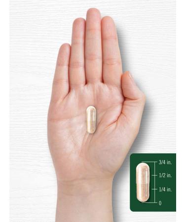 Black Cohosh Capsules 700mg 300 Count | Non-GMO & Gluten Free Root Extract Supplement by Carlyle - Buy Online on GoSupps.com