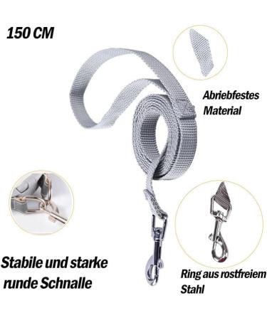 Shop Bright Pink Dog Harness & Puppy Tableware | Small Dog Dishes with Leash - Curli - Buy Online on GoSupps.com