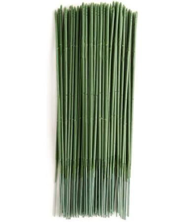 Enajucy 100 pcs 10 Inch Plastic Floral Stem Wire for DIY Artificial Flower Arrangements - Buy Online on GoSupps.com