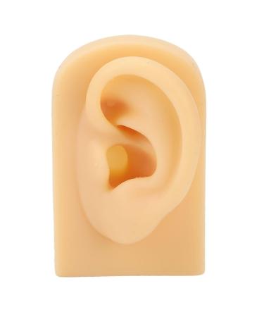 Human Silicone Ear Model - Reusable Artificial Ear for Hearing Aid Display | Ideal for Beginners (Left) - Buy Online on GoSupps.com
