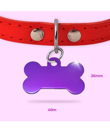 Ibera Gifts - Personalized Bone-Shaped Dog & Cat Collars | Engraved Neck Bands for Medium to Large Pets (Purple Stars) - Buy Online on GoSupps.com