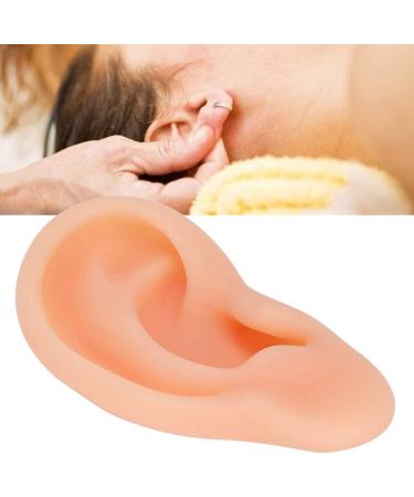 Professional Simulated Ear Model for Acupuncture & Massage Practice - Right Ear Demo Tool - Buy Online on GoSupps.com