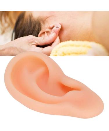 Silicone Fake Ear Model - Professional Acupuncture & Massage Teaching Tool (Right Ear) - Buy Online on GoSupps.com