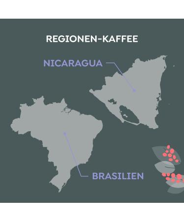 Melitta Manufaktur Filter Coffee 500g - Specialty Coffee from Brazil & Nicaragua Roasted in Germany Strength 2.5 - Buy Online on GoSupps.com