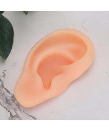 Simulated Ear Acupuncture Models - Realistic Silicone Ears for Training (Right) - Buy Online on GoSupps.com