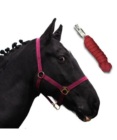 Horse delini Halfter Fohlten Halfter with a knitting halter for wooden horse - foal halter 2 -fold on chin straps & neck pieces (foal bordeaux) foal bordeauxx
