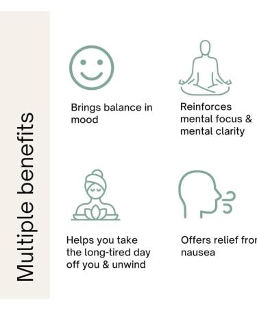 Kadilo Soy Wax Scented Candles - Aromatherapy Stress Relief Natural Essential Oils 13oz 3 Wicks Long-Lasting Aroma | International Shipping - Buy Online on GoSupps.com