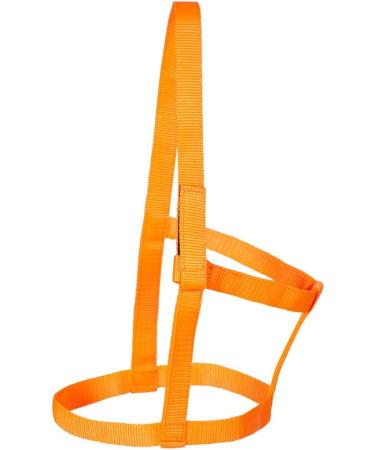 Shop PFIFF 102920 Joky Halter for Shetland Ponies | Nylon Orange No Fittings - International Shipping Available - Buy Online on GoSupps.com