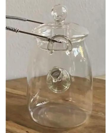 Teapot (300ml) - Buy Online on GoSupps.com