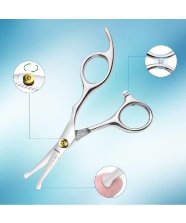 LILYS PET 5.0 Right-Handed Round-Tip Pet Grooming Scissors - Stainless Steel Small Ball Tip for Dogs and Cats - Silver - Buy Online on GoSupps.com