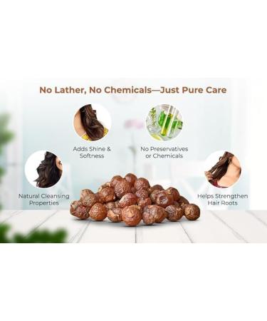 Soapnut - Reetha - Sapindus Mukorossi - Herbal Hair Care for Hair Growth and Scalp Wellness - Pure & Natural (100 Grams) - Buy Online on GoSupps.com