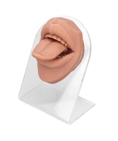 Soft Silicone Tongue Model with Acrylic Stand | Life-like Mouth Model for Jewelry & Piercing Practice | Ideal for Nursing Training - Meat Blonde - Buy Online on GoSupps.com