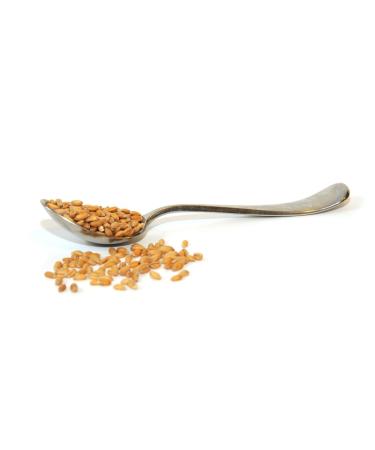 Be Still Farms Organic Spelt Wheat Berries (5lb) - Grind for Spelt Flour, Spelt Tortillas, Crackers & Bread - Ancient Grain, 5 Pound Pack - Buy Online on GoSupps.com