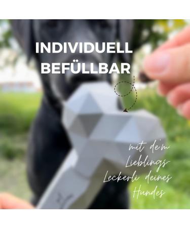 Buy Natural Rubber Dog Toys for Aggressive Chewers | Fillable & Durable | Dental Care - Black Size S (1 Pack) - Buy Online on GoSupps.com
