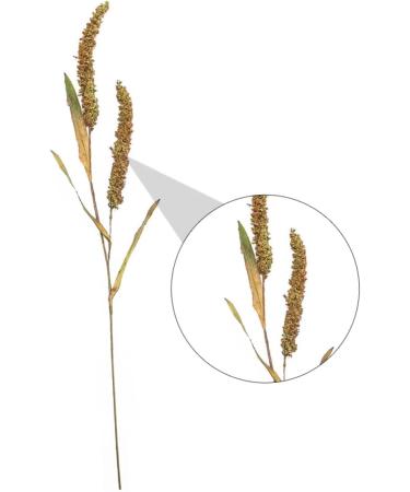 Zerodeko 3pcs Simulated Ears of Corn Plant Decor Dried Wheat Stalks Artificial Wheat Ears Artificial Grasses Bundle Fake Wheat Ears Simulation Wheat Ears Dried Millet Household Iron Straw Greenx3pcs 12X75CMx3pcs - Buy Online on GoSupps.com