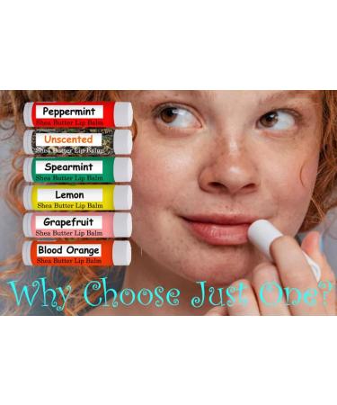 Northridge Oak - 100% All Natural Lip Balm - Lemon 5 Pack - Buy Online on GoSupps.com