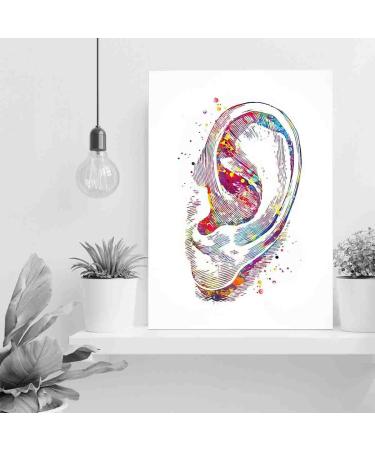 Ear Watercolor Print | Human Ear Art for Living Room Decor | Audiologist Gift | Audiology Poster | Medical Science Art | Ready to Hang 12x16 in - Buy Online on GoSupps.com
