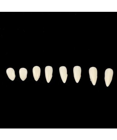 Nikou 8 Set Halloween False Teeth - Horrible Dentures for Costume Party Props (13mm 15mm 17mm 19mm) - Buy Online on GoSupps.com