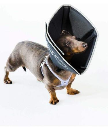 Shop All Four Paws Comfy Cone Pet Collar - Small Black | International Shipping Available - Buy Online on GoSupps.com